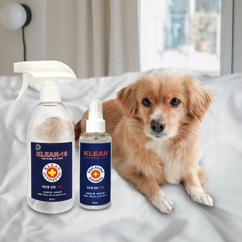 KLEAN-19 에탄올 75% 소독 스프레이: 일상 속 안전을 지키는 현명한 선택