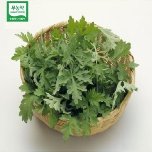 봄 향기 가득한 식탁, 무농약 쑥으로 건강을 채우다 쑥