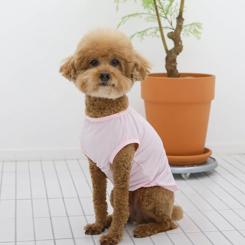 강아지 여름옷 파스텔 소프트 쿨나시 중형견 대형견옷, 핑크, 1개