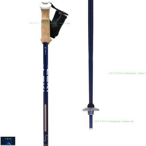 인체공학적 편안함과 탁월한 내구성, 도로시 스키폴대