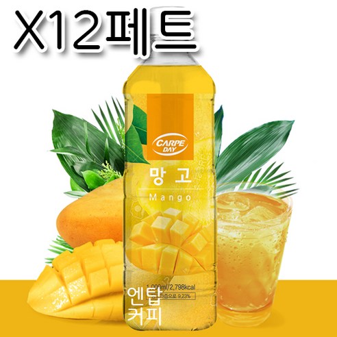 까르페데이 과일음료 베이스/대호액상 1000ml(12개 1박스), 수박, 1L, 12개