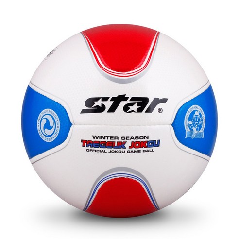 스타 태극 동계용 족구공 JB245W-31 + XIGMA 멀티가방 + 블루 펌프 세트, 1개 jk성인족구공조이킥