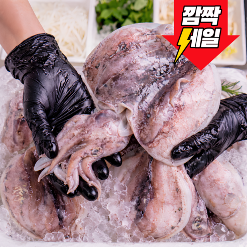 [재구매율1위] 국내산 손질 오징어 갑오징어