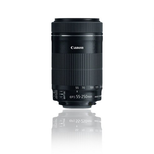 캐논 EF-S 55 – 250 mm F4 – 5.6 IS STM 망원 줌렌즈