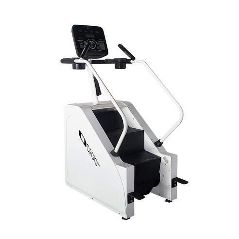 2025 ORGIO MAX 오르지오 맥스: 가정에서 경험하는 천국으로 향하는 계단, 그리고 완벽한 운동 환경 오르지오천국의계단