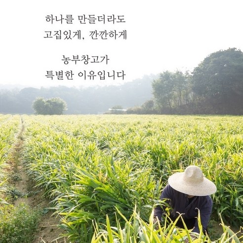 100% 국산 보리의 깊은 구수함, 농부창고 볶은 보리차로 온 가족 건강하게 수분 충전!