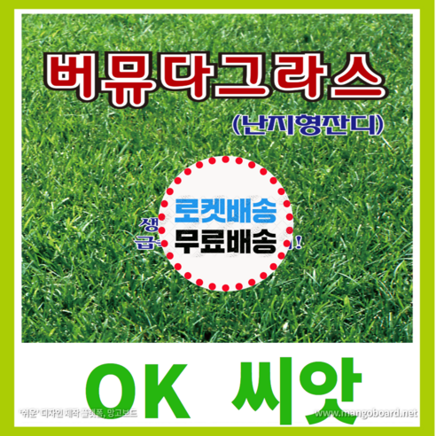 [OK씨앗] [버뮤다그라스(난지형잔디)] 잔디씨앗(오케이씨앗), 1개