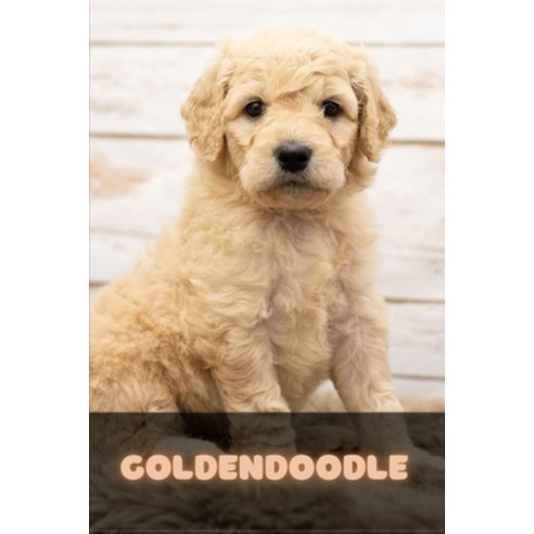 (영문도서) Goldendoodle: Complete breed guide Paperback, Independently Published, English, 9798530427046