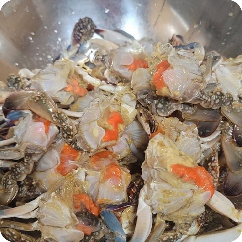 연평도 앞바다의 프리미엄 활 암꽃게