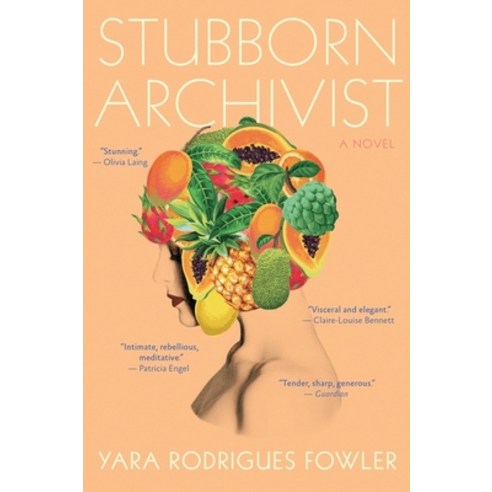 (영문도서) Stubborn Archivist Paperback, Harper Perennial, English, 9780358006084