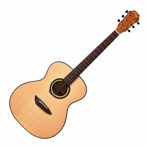 고퍼우드 G110: 초보자와 숙련된 연주자 모두에게 이상적인 저렴하고 다재다능한 오디토리엄 기타