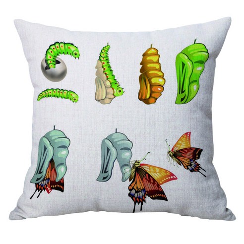 스퀘어 쿠션 커버 소프트 벨벳 베갯잇 Pillowslip 베개, 나비 45x45cm, 설명