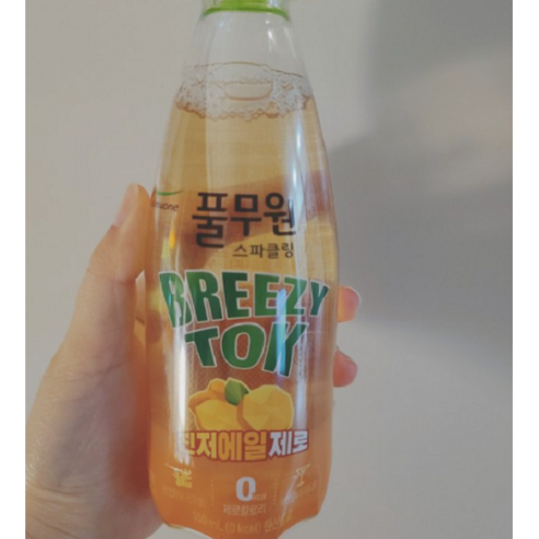 풀무원샘물 브리지톡 진저에일제로, 350ml, 48개 와이낫제로 Best Top5