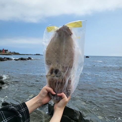 피데기 반건조오징어 10마리 1.8kg 구룡포 오징어, 1개