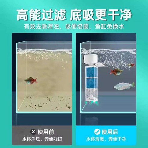 냄새 걱정 없이 거북이와 함께하는 행복한 일상, 그라운드하이 집똥기로 시작하세요!
