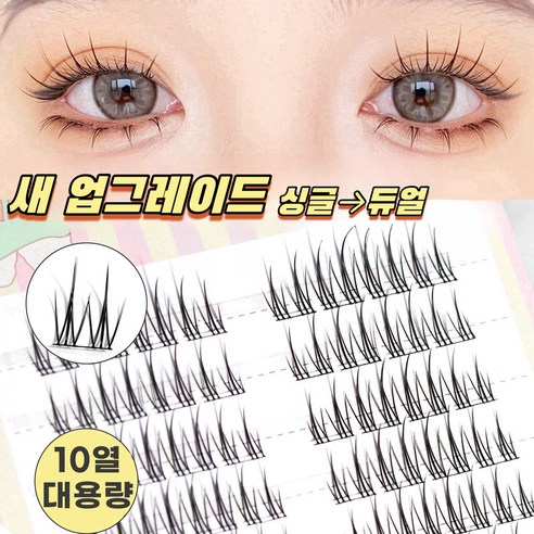 구조독해 2 영어 독해 부분에서 헤매지 말고 글 전체 구조를 보라, 디딤돌 부분과전체 Best Top5 11 Atopos 인조 속눈썹 부분 가닥 속눈썹 신형 자연스러운 포인트 연장 아이래쉬 C컬 원형 2개를 1개로 합성, 1개, 가닥형