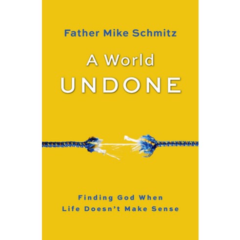 A World Undone: Finding God When Life Doesn''t Make Sense Paperback, Word Among Us Press, English, 9781593255992