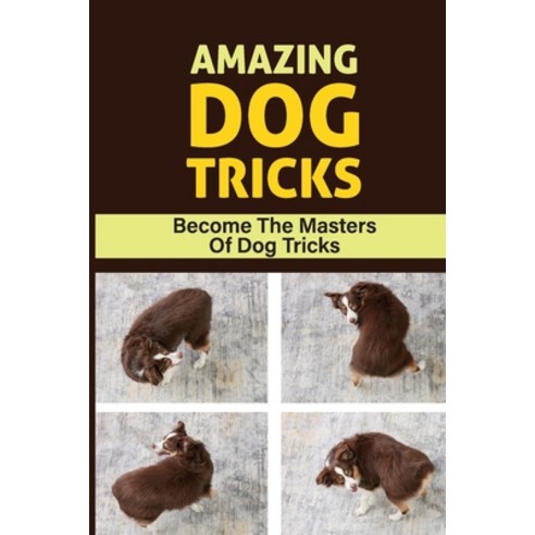 (영문도서) Amazing Dog Tricks: Become The Masters Of Dog Tricks: Tricks To Teach Your Dog Paperback, Independently Published, English, 9798548348364