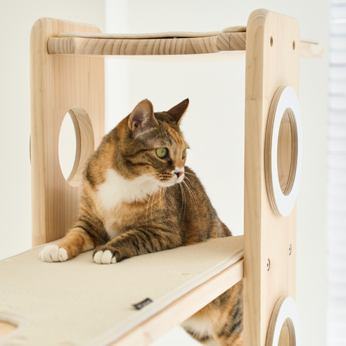 좁은 공간을 행복한 냥이 랜드로! 디어캣 링타워 캣폴