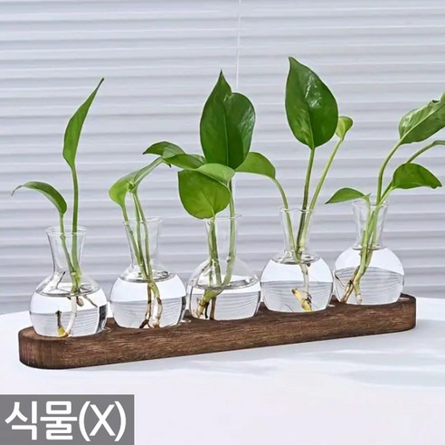 유리 수경 식물 화분 세트 - 투명 화병 꽃병 유리병 수경 재배 세트 거실 책상 사무실 인테리어 홈가드닝, 02_Sein_스탠드수경화분(5구), 1개