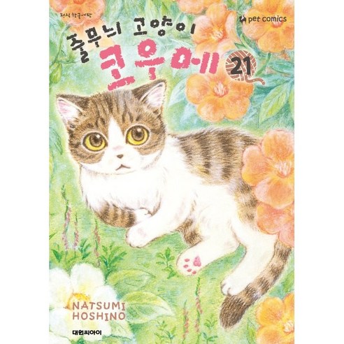 줄무늬 고양이 코우메 21, 21권, 대원씨아이