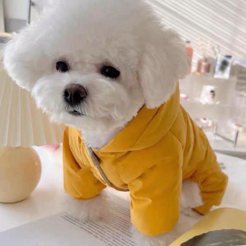 데일리이지 강아지 화이트 다운 바람막이 패딩, 옐로우