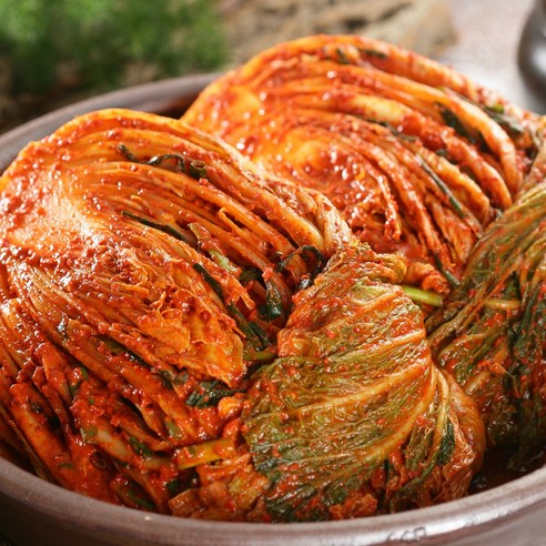 김치 유목민 생활 청산! 경기 연천 농협 오색소반 김치, 왜 입소문 났을까? 오색소반김치