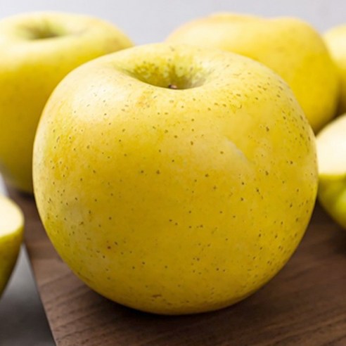 가을 햇살 품은 황금빛 유혹, 시나노골드 사과 이야기 시나노골드