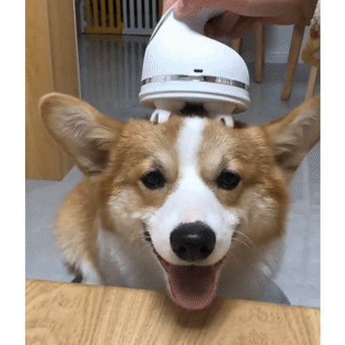 인텔리펫 피로 싹 강아지 고양이 두피 마사지기, 2.펄 화이트, 1개