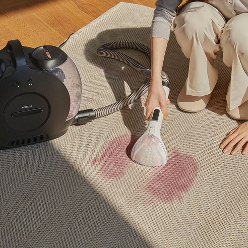 카페트와 러그 청소의 혁신