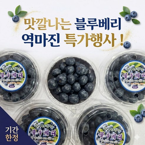 노마진 특가 수입 블루베리 고당도 14~16mm 중대과 대용량 당일출고, 1개, 6팩