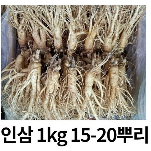 실속형 5년근 가정용인삼 1kg 15-20뿌리 무료세척 난발삼 삼계탕용 인삼쥬스 금산인삼, 세척해주세요 (0), 1개