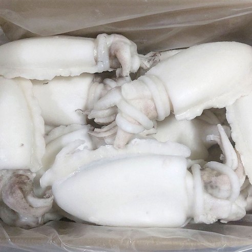 맛있고 건강한 냉동 손질갑오징어, 업소용으로 딱!
