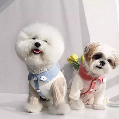 제이펫독 강아지 니트 구름포인트 카라티셔츠 소형견 중형견, 블루, 1개