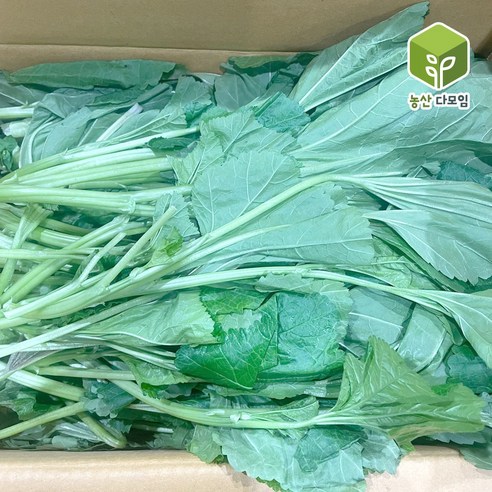 국내산 아욱 2kg, 1개