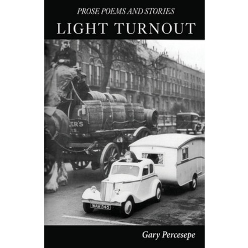 (영문도서) Light Turnout: Prose Poems and Stories Paperback, Finishing Line Press, English, 9781646627097