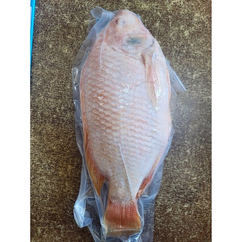 베트남 냉동 레드틸라피아 1kg(2~3마리) red tilapia, 1개