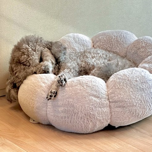 멍냥이노리터 극세사 강아지방석 강아지 고양이 반려견 애견 쿠션 펫 중형 대형 꽃 도넛 방석, 그레이