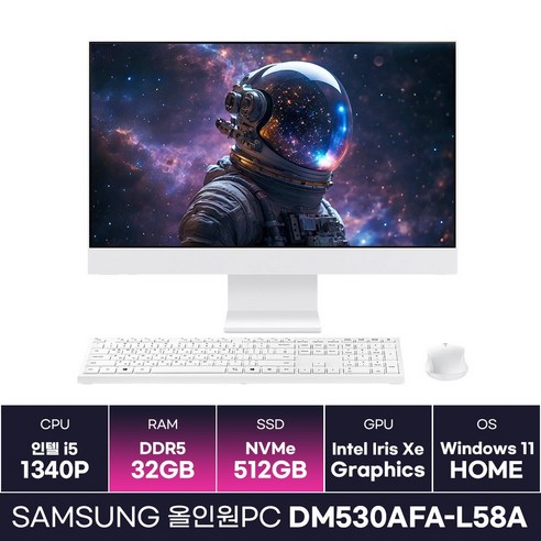 삼성전자 올인원PC DM530AFA-L58A 인텔 i5 13세대 일체형PC 윈도우 탑재 (32GB/512GB) / KCJH