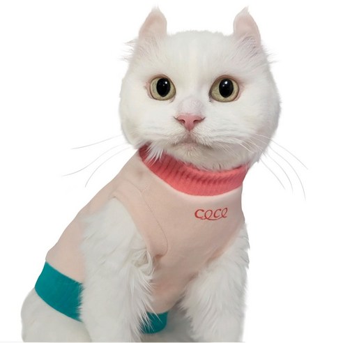 코코테일 아기고양이옷 고양이옷 뚱냥이 고양이 티셔츠, 핑크 고양이