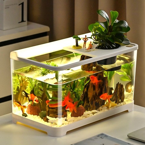 삭막한 내 방에 생기를! 나만의 작은 정원, FONOW 수족관 어항 세트 후기 물고기어항