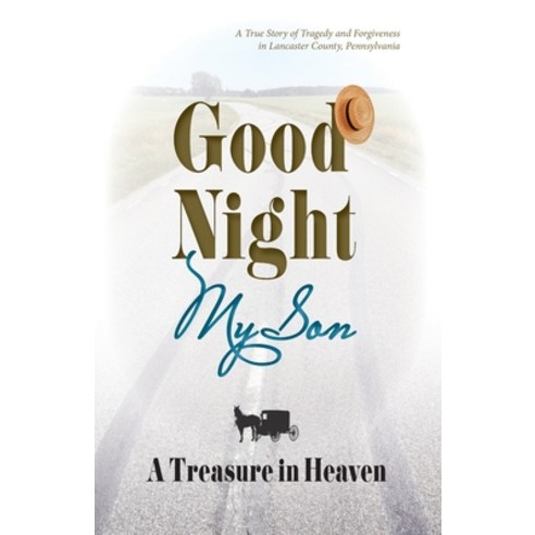 (영문도서) Good Night My Son A Treasure in Heaven Paperback, Masthof Press, English, 9781601267047
