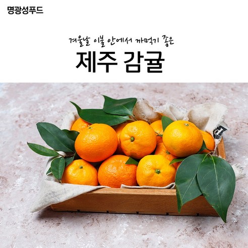 명광성푸드 겨울날 이불안에서 까먹기 좋은 제주감귤 5kg, 아이스팩+아이스박스