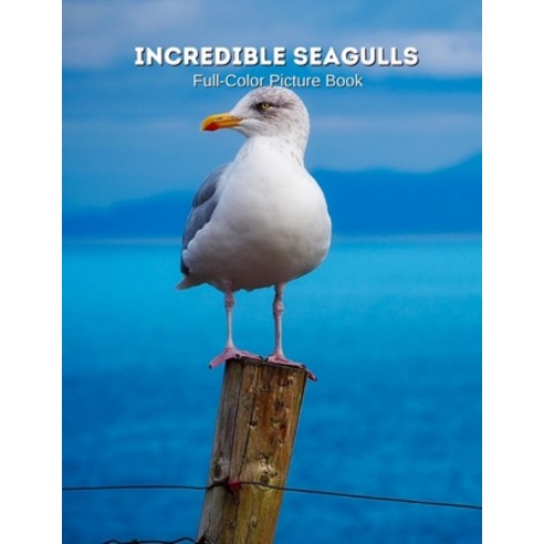 Incredible Seagulls Full-Color Picture Book: Gull Photography Book - Bird Picture Book for Children ... Paperback, Independently Published, English, 9798743298419