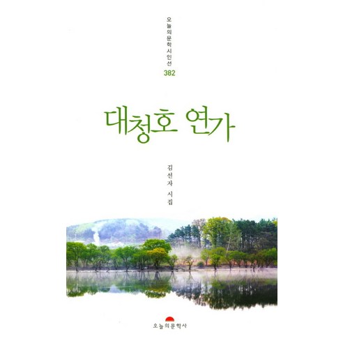 대청호 연가:김선자 시집, 오늘의문학사, 김선자 저