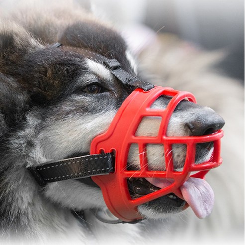강아지 실리콘 입마개: 입마개의 필수템!