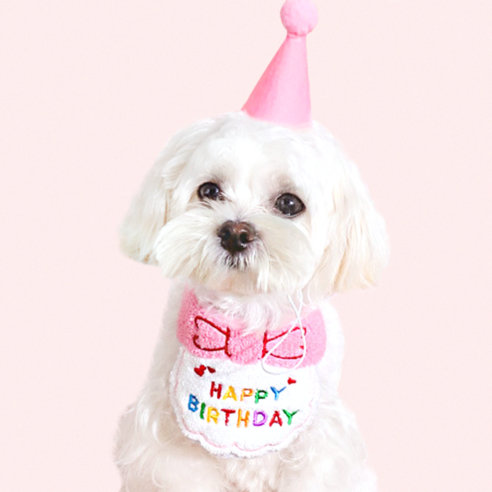 강아지 생일 케이프 고양이 리본케이프, 블루, 1개