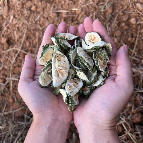해남에서 온 고소한 맛, 건조한 식감의 풍부함을 만끽해보세요