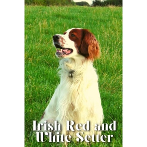 (영문도서) Irish Red and White Setter: Dog breed overview and guide Paperback, Independently Published, English, 9798852115256