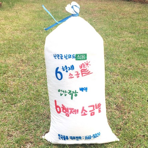 신안천일염20kg 인간극장 방영 2023년 신안 6형제소금 20kg 쓴맛이 없는 깨끗한 육형제천일염 Best Top3